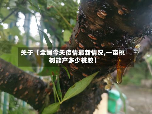 关于【全国今天疫情最新情况,一亩桃树能产多少桃胶】