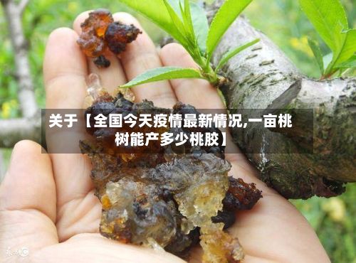 关于【全国今天疫情最新情况,一亩桃树能产多少桃胶】-第2张图片