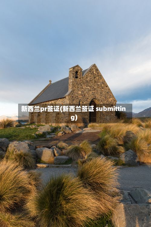 新西兰pr签证(新西兰签证 submitting)-第2张图片