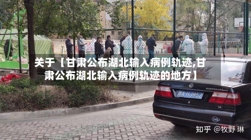 关于【甘肃公布湖北输入病例轨迹,甘肃公布湖北输入病例轨迹的地方】-第2张图片