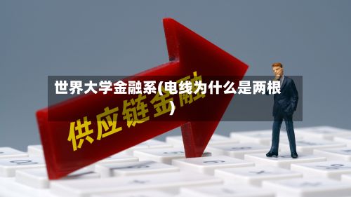 世界大学金融系(电线为什么是两根)
