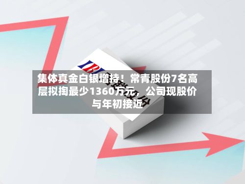 集体真金白银增持!常青股份7名高层拟掏最少1360万元,公司现股价与年初接近