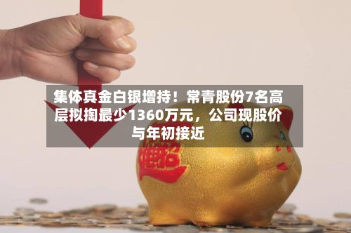 集体真金白银增持！常青股份7名高层拟掏最少1360万元，公司现股价与年初接近-第2张图片