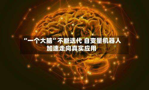 “一个大脑”不断迭代 自变量机器人加速走向真实应用-第2张图片