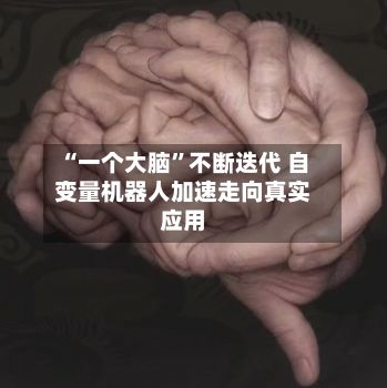 “一个大脑”不断迭代 自变量机器人加速走向真实应用-第3张图片