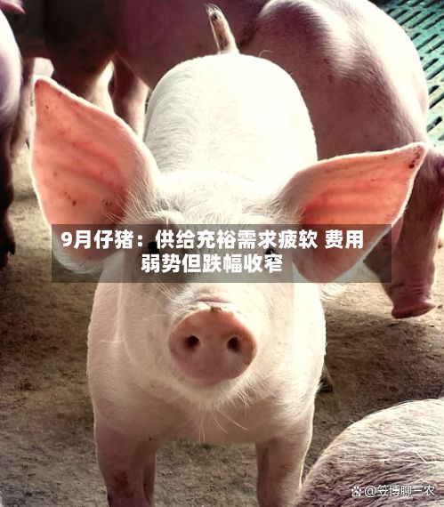 9月仔猪：供给充裕需求疲软 费用弱势但跌幅收窄-第2张图片