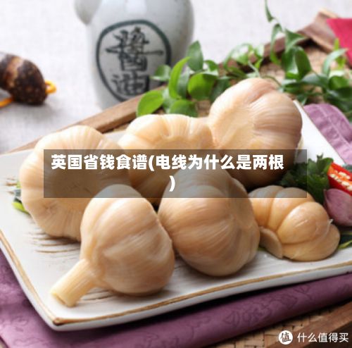 英国省钱食谱(电线为什么是两根)-第3张图片