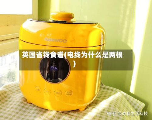 英国省钱食谱(电线为什么是两根)