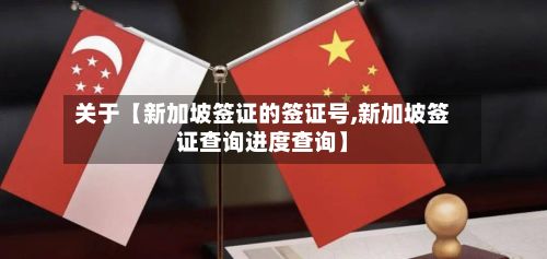 关于【新加坡签证的签证号,新加坡签证查询进度查询】