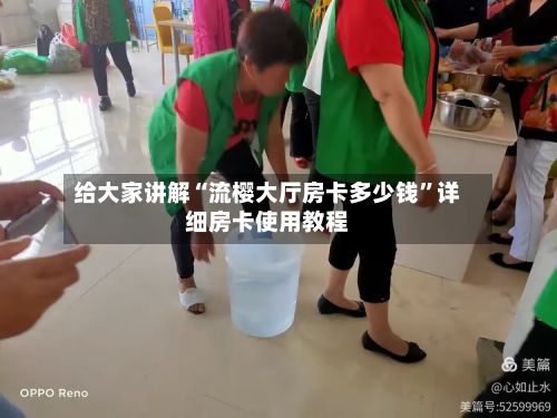 给大家讲解“流樱大厅房卡多少钱”详细房卡使用教程-第2张图片
