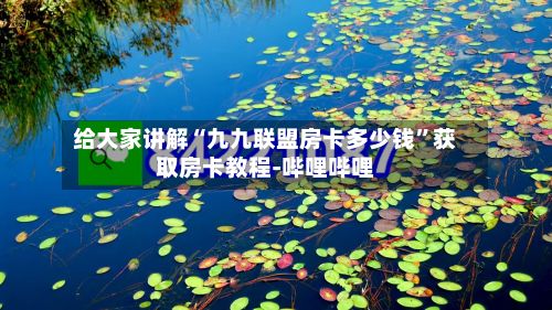给大家讲解“九九联盟房卡多少钱”获取房卡教程-哔哩哔哩-第2张图片