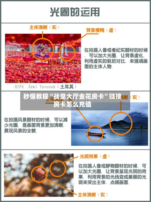 秒懂教程“战皇大厅金花房卡”链接房卡怎么充值-第3张图片