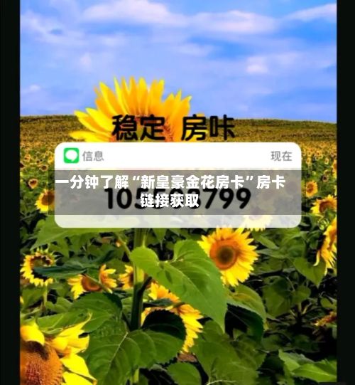 一分钟了解“新皇豪金花房卡”房卡链接获取-第2张图片