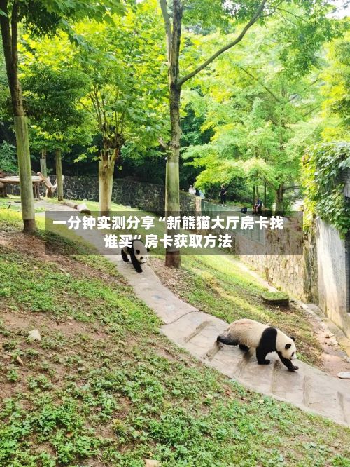 一分钟实测分享“新熊猫大厅房卡找谁买	”房卡获取方法-第3张图片
