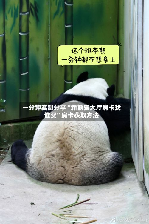 一分钟实测分享“新熊猫大厅房卡找谁买”房卡获取方法-第2张图片