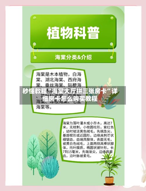 秒懂教程“海棠大厅拼三张房卡	”详细房卡怎么购买教程-第2张图片