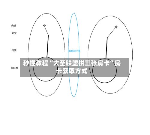 秒懂教程“大圣联盟拼三张房卡	”房卡获取方式-第2张图片