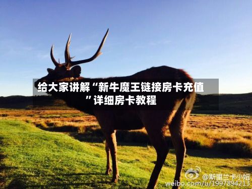给大家讲解“新牛魔王链接房卡充值”详细房卡教程-第2张图片
