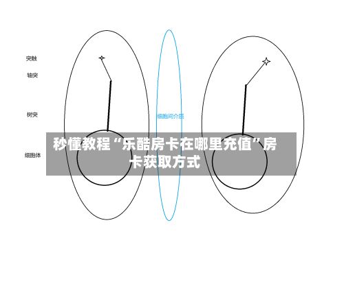 秒懂教程“乐酷房卡在哪里充值”房卡获取方式-第2张图片