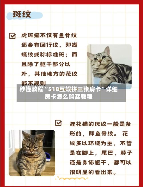 秒懂教程“518互娱拼三张房卡”详细房卡怎么购买教程-第2张图片