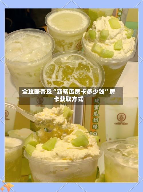 全攻略普及“新蜜瓜房卡多少钱”房卡获取方式-第2张图片