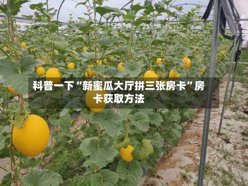 科普一下“新蜜瓜大厅拼三张房卡”房卡获取方法-第3张图片