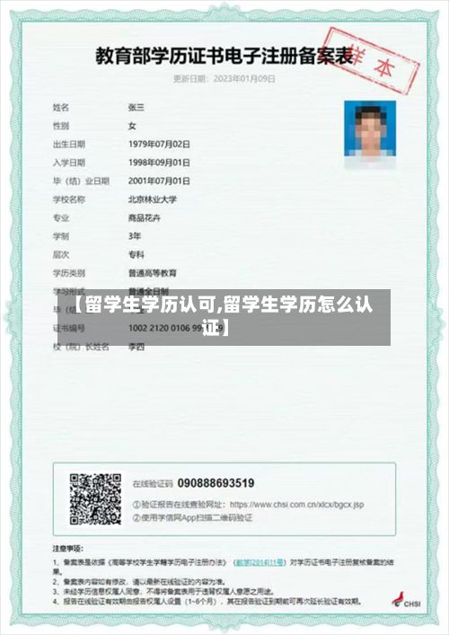 【留学生学历认可,留学生学历怎么认证】