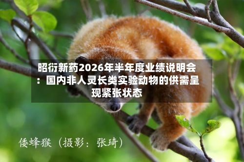 昭衍新药2026年半年度业绩说明会:国内非人灵长类实验动物的供需呈现紧张状态
