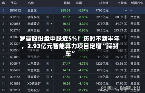 罗曼股份盘中跌近5%！历时不到半年，2.93亿元智能算力项目定增“踩刹车”-第3张图片