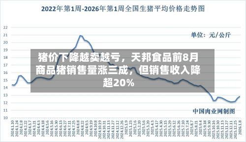 猪价下降越卖越亏，天邦食品前8月商品猪销售量涨三成，但销售收入降超20%-第2张图片