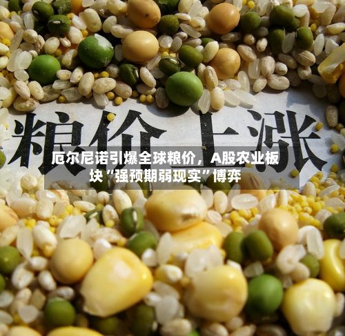 厄尔尼诺引爆全球粮价	，A股农业板块“强预期弱现实	”博弈-第1张图片