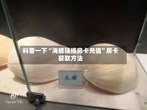 科普一下“海螺链接房卡充值”房卡获取方法-第2张图片