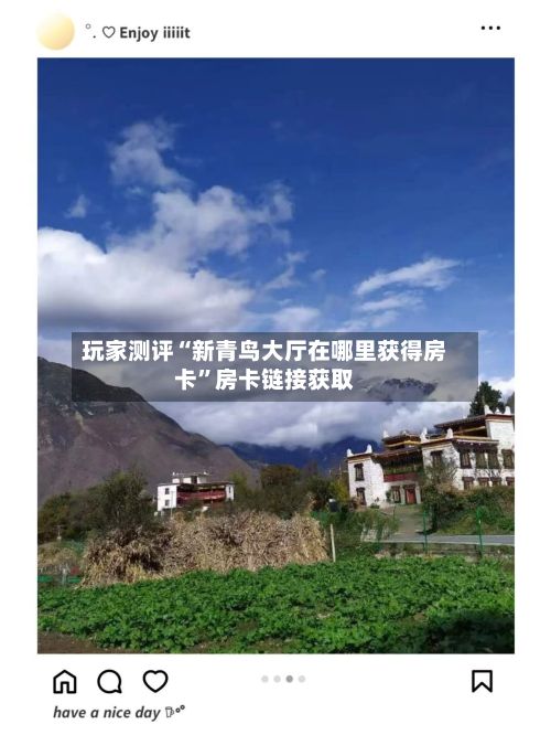 玩家测评“新青鸟大厅在哪里获得房卡	”房卡链接获取-第3张图片