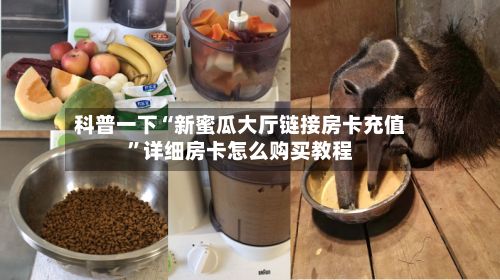 科普一下“新蜜瓜大厅链接房卡充值”详细房卡怎么购买教程-第2张图片