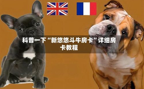 科普一下“新悠悠斗牛房卡”详细房卡教程-第2张图片