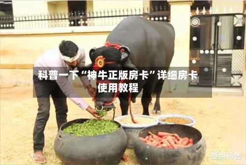 科普一下“神牛正版房卡”详细房卡使用教程-第2张图片