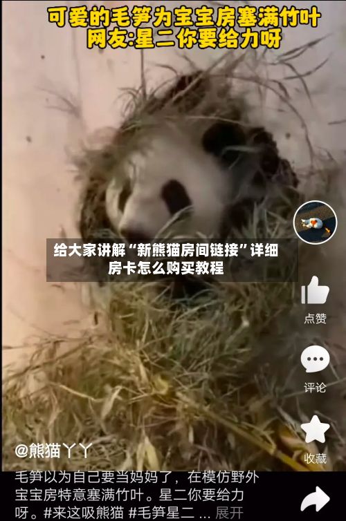 给大家讲解“新熊猫房间链接”详细房卡怎么购买教程-第3张图片
