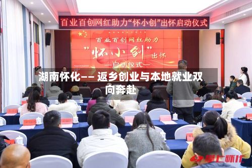 湖南怀化—— 返乡创业与本地就业双向奔赴-第3张图片