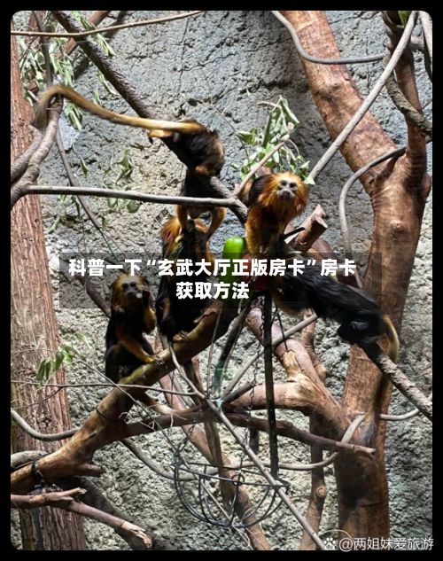 科普一下“玄武大厅正版房卡	”房卡获取方法-第2张图片
