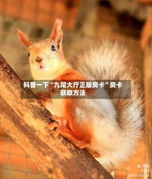 科普一下“九尾大厅正版房卡”房卡获取方法
