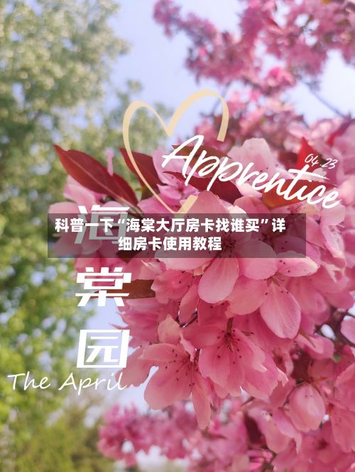 科普一下“海棠大厅房卡找谁买”详细房卡使用教程-第2张图片