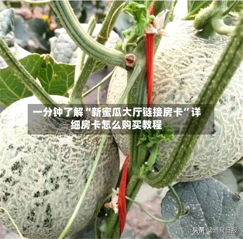 一分钟了解“新蜜瓜大厅链接房卡	”详细房卡怎么购买教程-第2张图片