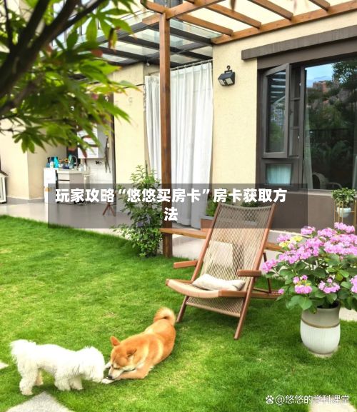 玩家攻略“悠悠买房卡”房卡获取方法
