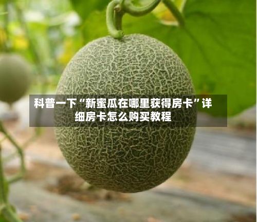 科普一下“新蜜瓜在哪里获得房卡”详细房卡怎么购买教程-第3张图片
