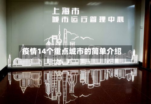 疫情14个重点城市的简单介绍-第2张图片