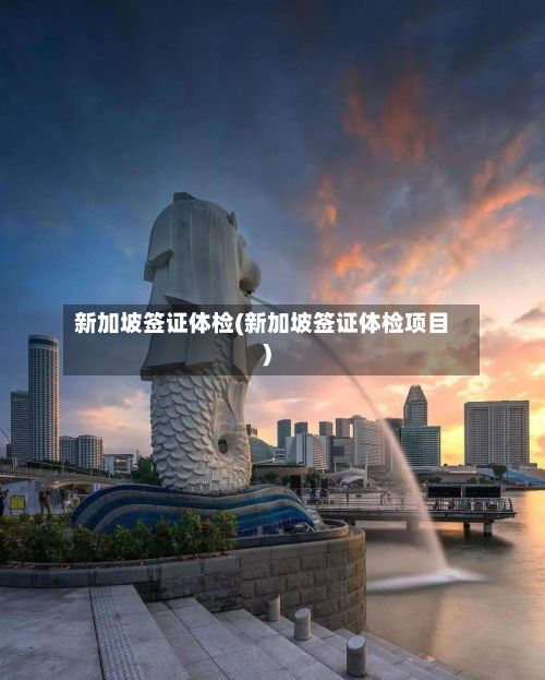 新加坡签证体检(新加坡签证体检项目)