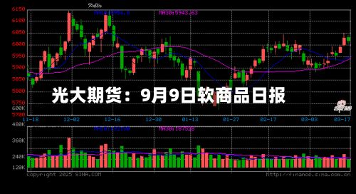 光大期货：9月9日软商品日报-第1张图片