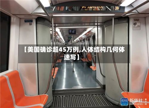 【美国确诊超45万例,人体结构几何体速写】-第3张图片