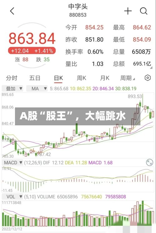 A股“股王”，大幅跳水-第3张图片