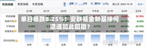 单日暴跌8.25%！安联基金新基缘何遭遇如此回撤？-第3张图片